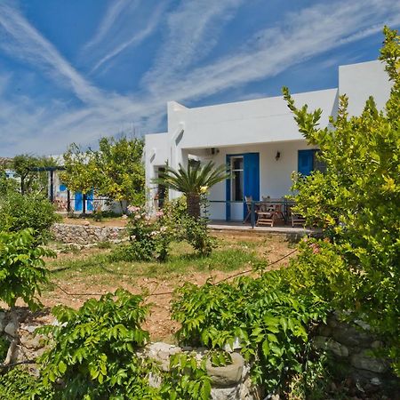 Pleiades Apartments Lefkos  Exterior foto